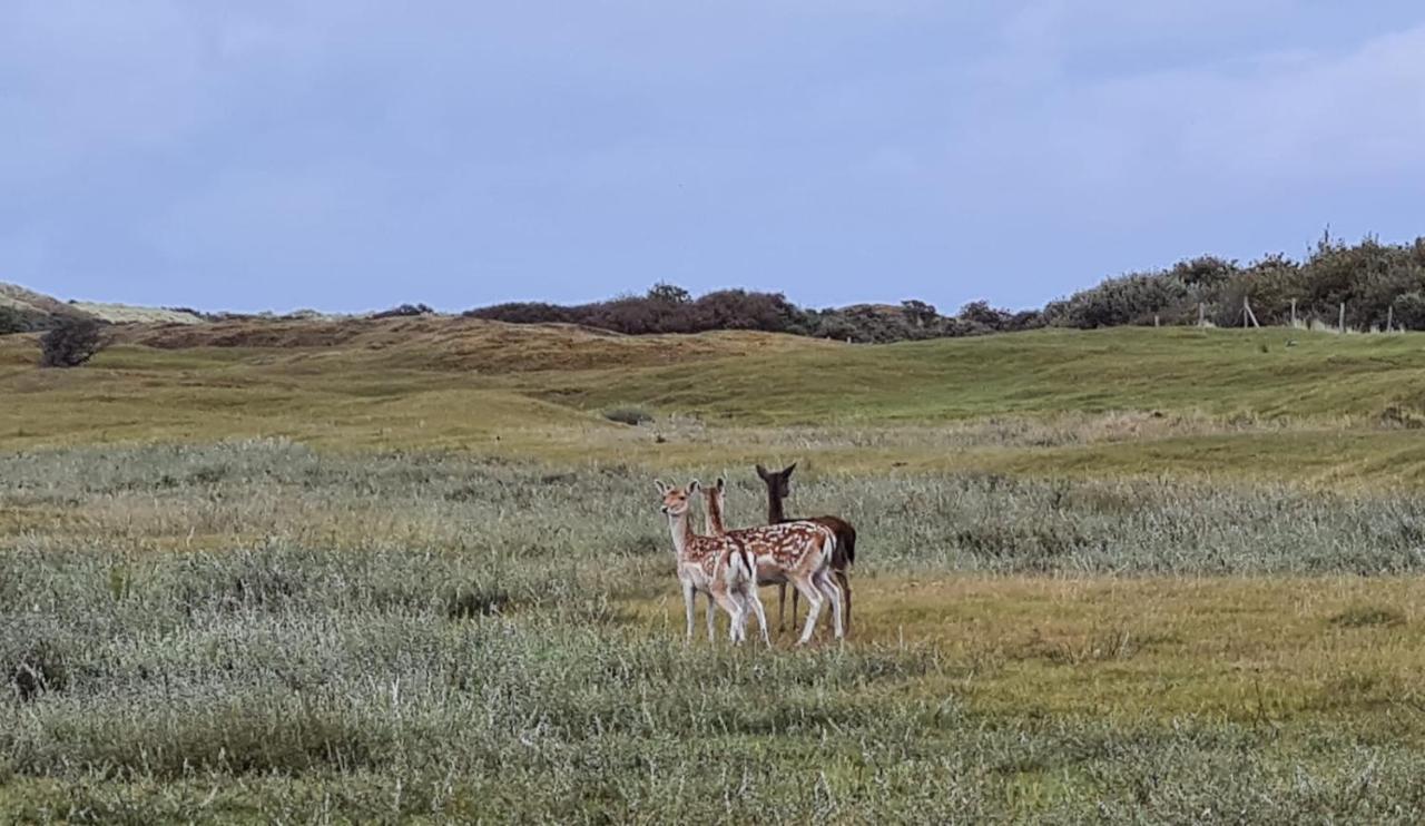 De Duinrand Villa Oostkapelle Buitenkant foto