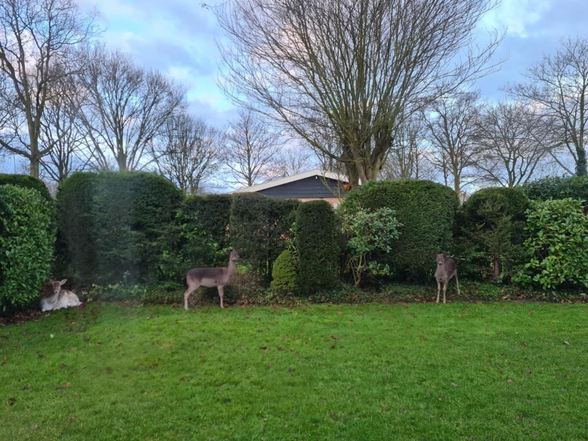 De Duinrand Villa Oostkapelle Buitenkant foto